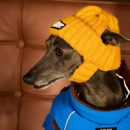 Strickmütze für Haustiere, warme Wintermütze mit Ohrlöchern für Hunde und Katzen, modische Herbst-Winter Kopfbedeckung