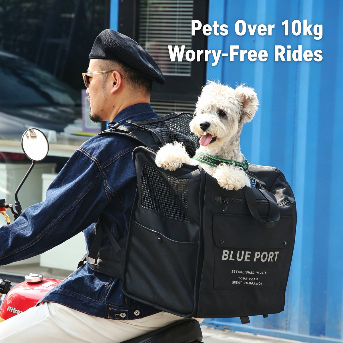 Großer Ergonomischer Haustier‑Rucksack, Faltbarer Tierrucksack für Hunde & Katzen, Belüfteter Transportrucksack für Outdoor‑Ausflüge