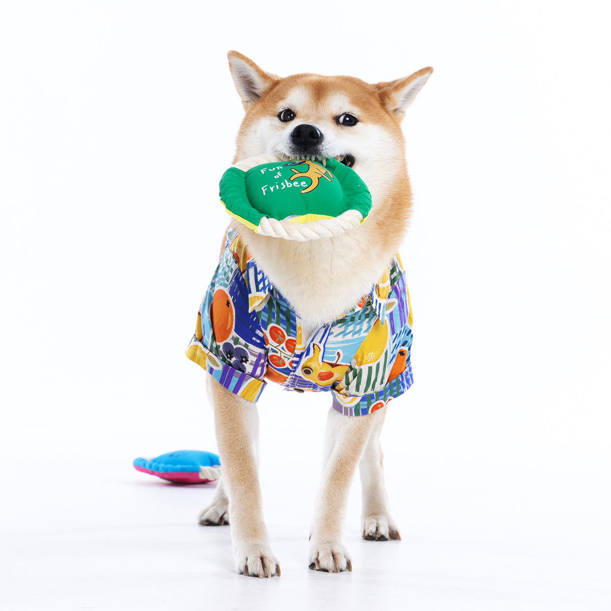 Pfeifendes Seil Hundefrisbee Spielzeug, Interaktives Leckerli Versteck Zugspiel, Robustes Apportier Kauspielzeug für draußen