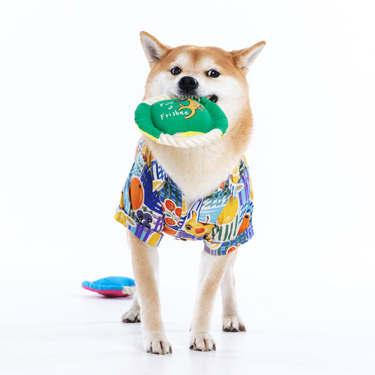 Pfeifendes Seil Hundefrisbee Spielzeug, Interaktives Leckerli Versteck Zugspiel, Robustes Apportier Kauspielzeug für draußen