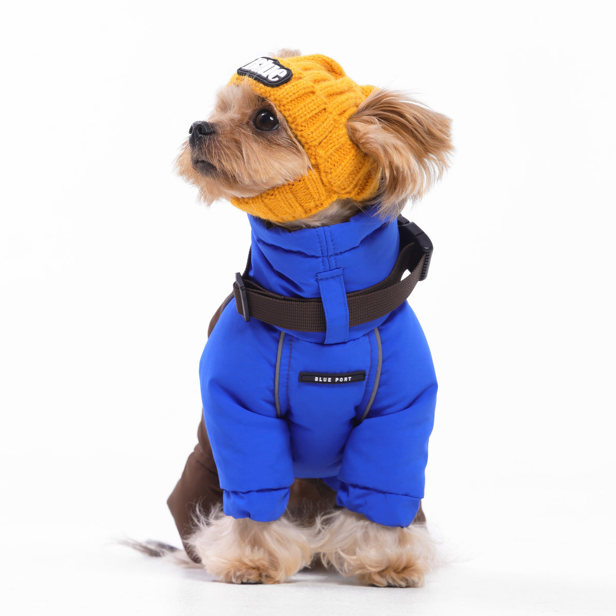 Strickmütze für Haustiere, warme Wintermütze mit Ohrlöchern für Hunde und Katzen, modische Herbst-Winter Kopfbedeckung