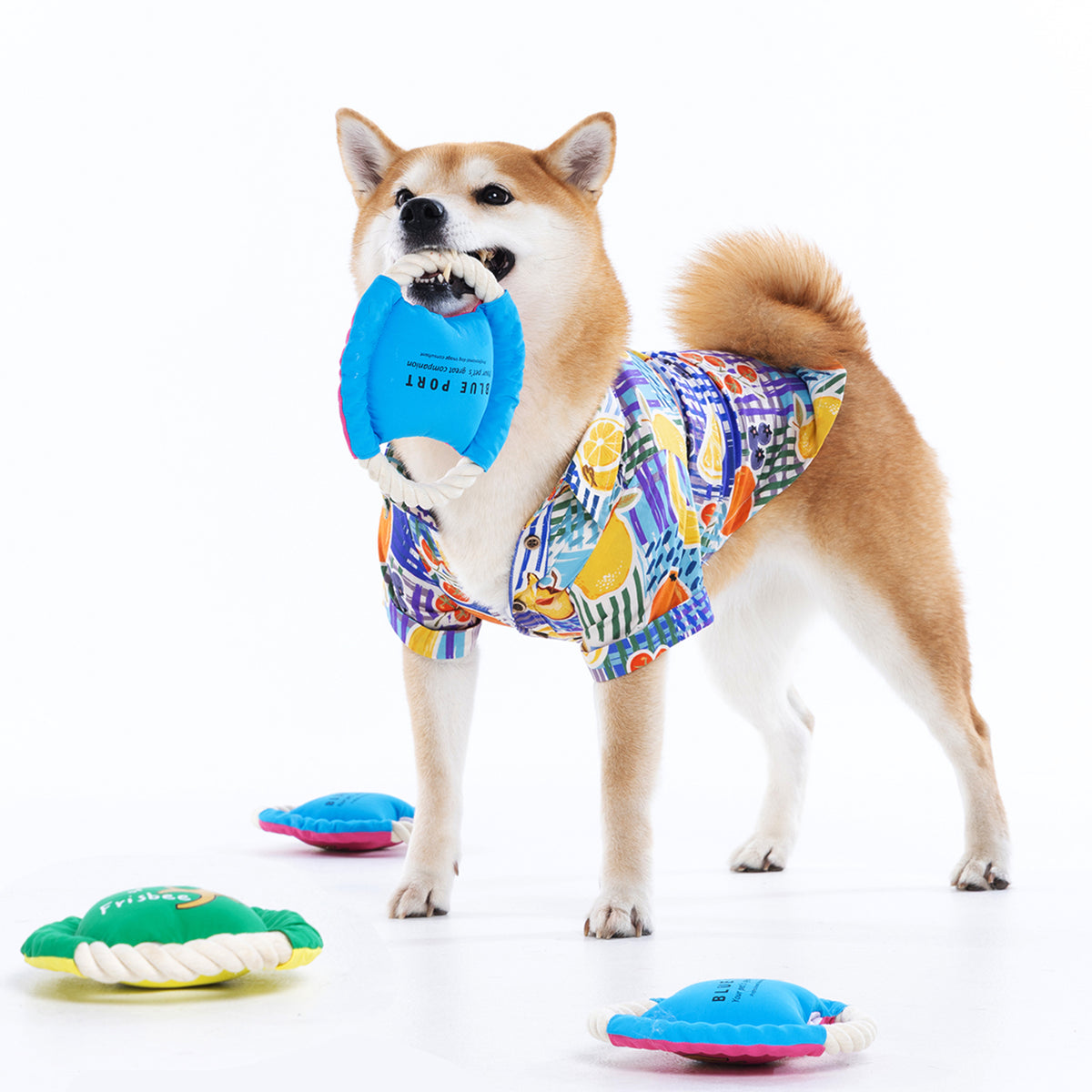 Pfeifendes Seil Hundefrisbee Spielzeug, Interaktives Leckerli Versteck Zugspiel, Robustes Apportier Kauspielzeug für draußen