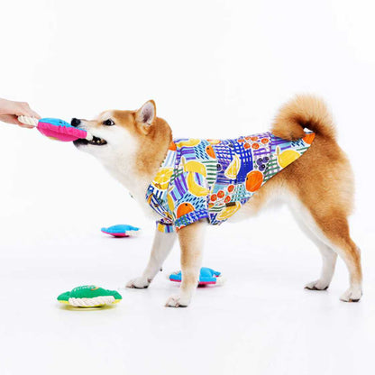 Pfeifendes Seil Hundefrisbee Spielzeug, Interaktives Leckerli Versteck Zugspiel, Robustes Apportier Kauspielzeug für draußen