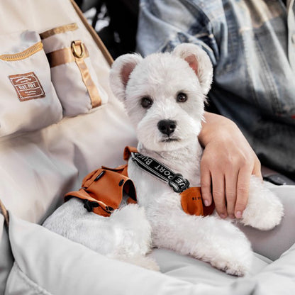 Wasserdichtes Cordura Haustier‑Autonest, beißfestes Hundebett, waschbarer Reisesitz mit Ausbruchschutz‑Leine & Stauraum