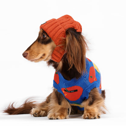 Strickmütze für Haustiere, warme Wintermütze mit Ohrlöchern für Hunde und Katzen, modische Herbst-Winter Kopfbedeckung