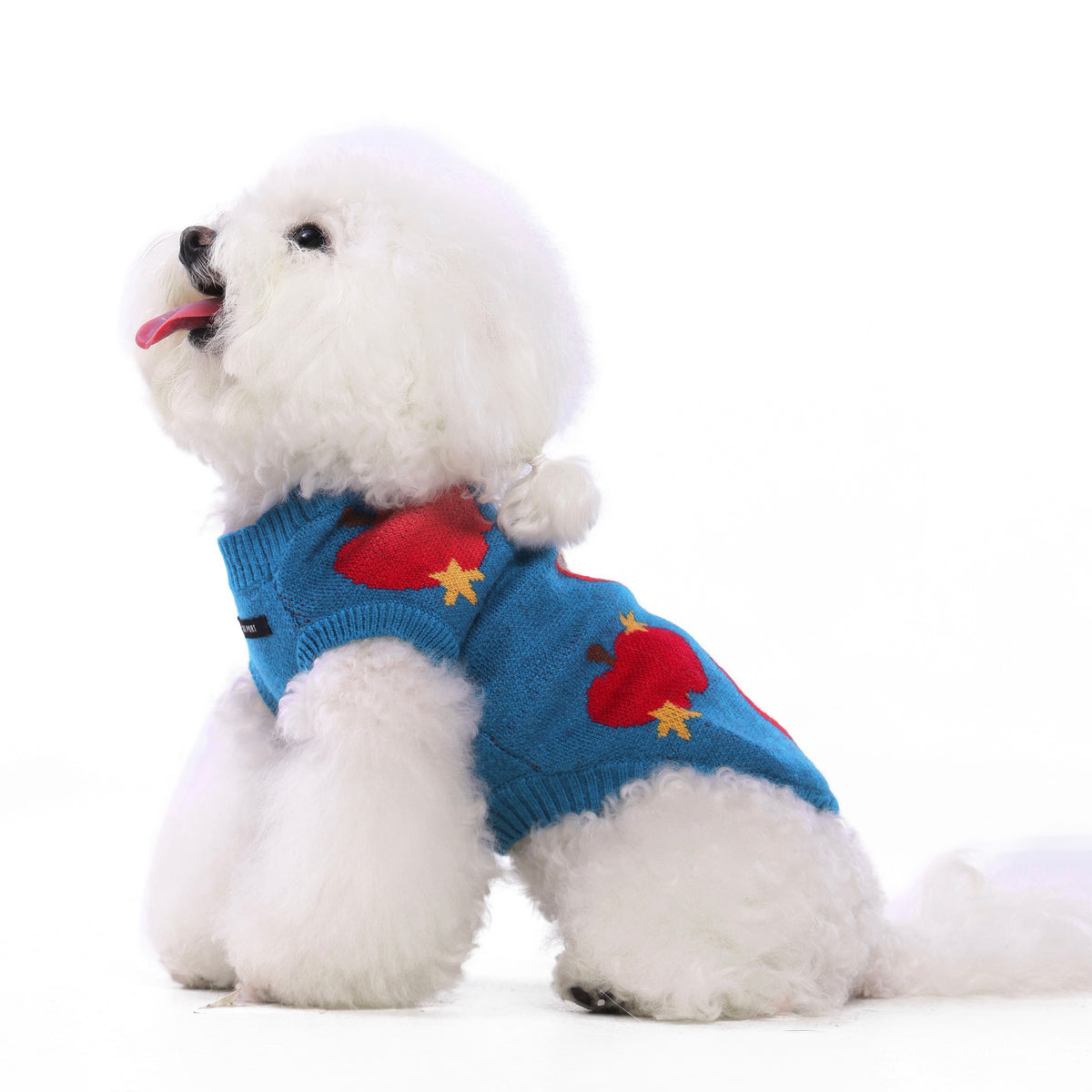 Haustier-Strickweste mit Frucht-Jacquardmuster, dehnbares, ärmelloses Strickoberteil für Katzen und kleine Hunde, Herbst-Winter-Haustierbekleidung