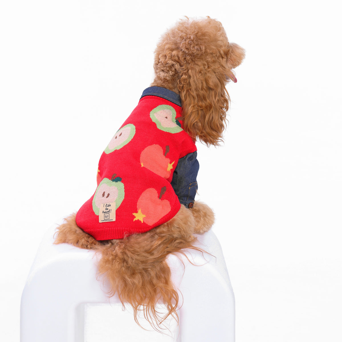 Haustier-Strickweste mit Frucht-Jacquardmuster, dehnbares, ärmelloses Strickoberteil für Katzen und kleine Hunde, Herbst-Winter-Haustierbekleidung