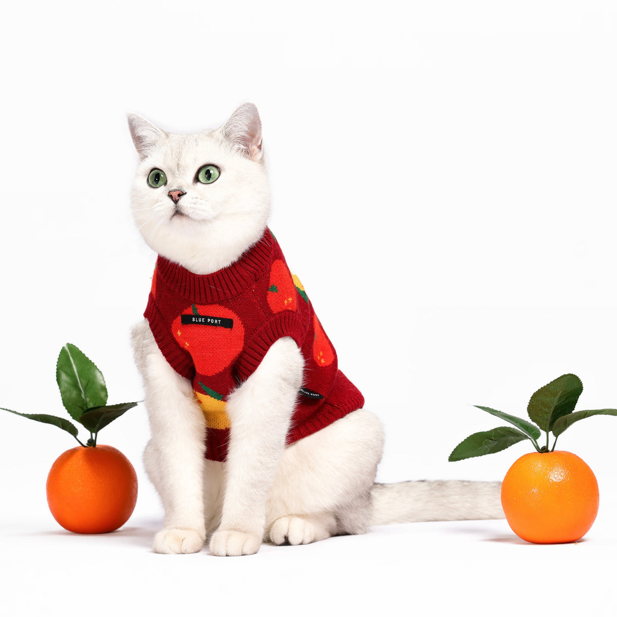 Haustier-Strickweste mit Frucht-Jacquardmuster, dehnbares, ärmelloses Strickoberteil für Katzen und kleine Hunde, Herbst-Winter-Haustierbekleidung