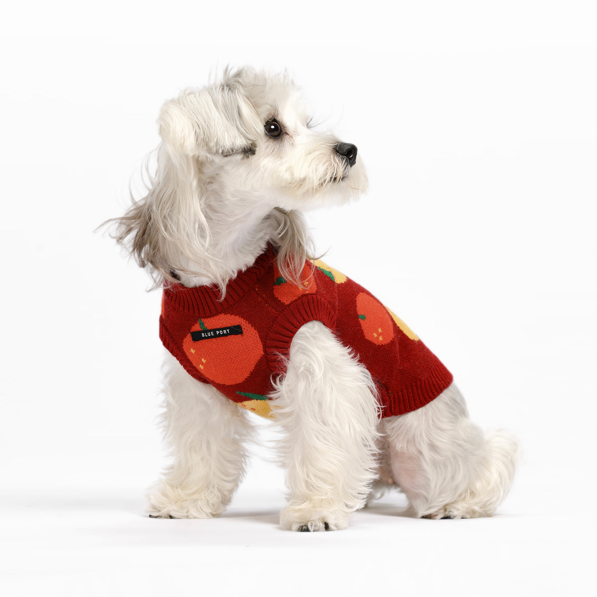 Haustier-Strickweste mit Frucht-Jacquardmuster, dehnbares, ärmelloses Strickoberteil für Katzen und kleine Hunde, Herbst-Winter-Haustierbekleidung