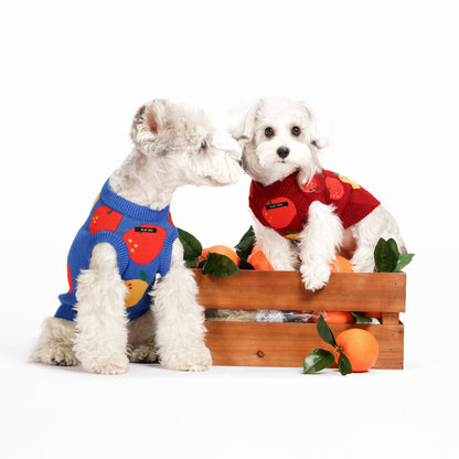 Haustier-Strickweste mit Frucht-Jacquardmuster, dehnbares, ärmelloses Strickoberteil für Katzen und kleine Hunde, Herbst-Winter-Haustierbekleidung