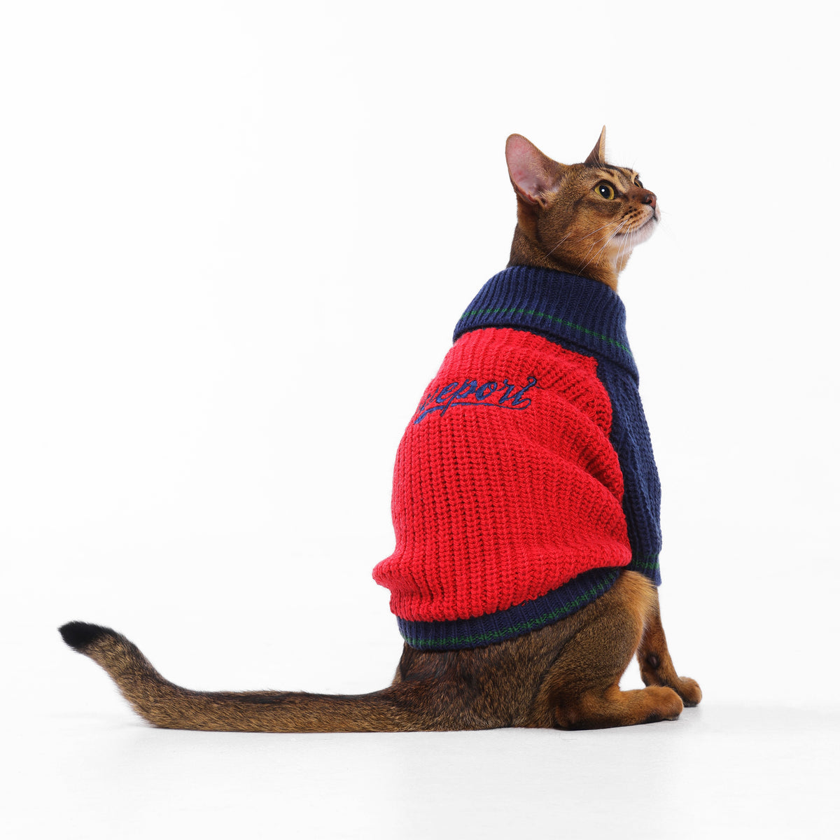 Color‑Block‑Wollmisch‑Haustierpullover, Strickpullover mit doppeltem Revers, warme Kleidung für Herbst und Winter