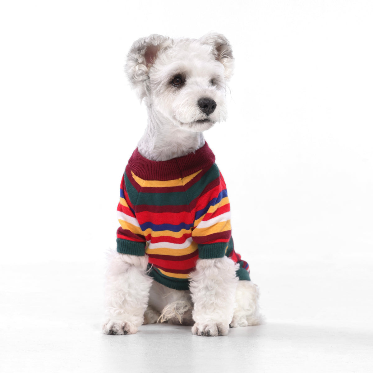 Color‑Block‑Wollmisch‑Haustierpullover, Raglan‑Ärmel‑Pullover für Hunde und Katzen (Herbst Winter).