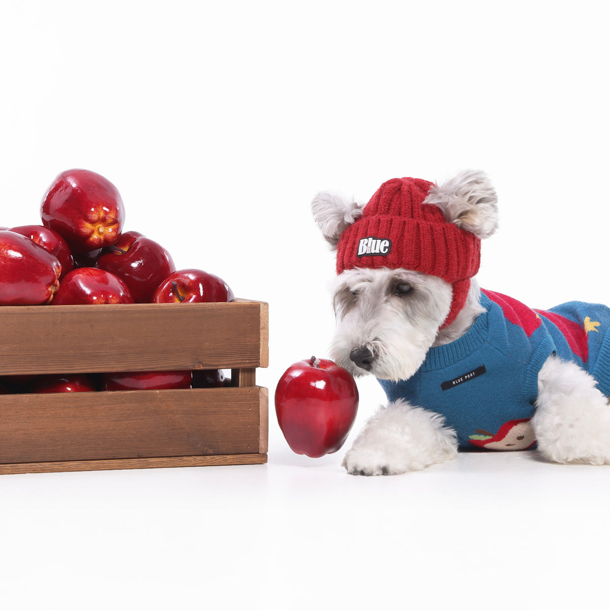 Strickmütze für Haustiere, warme Wintermütze mit Ohrlöchern für Hunde und Katzen, modische Herbst-Winter Kopfbedeckung