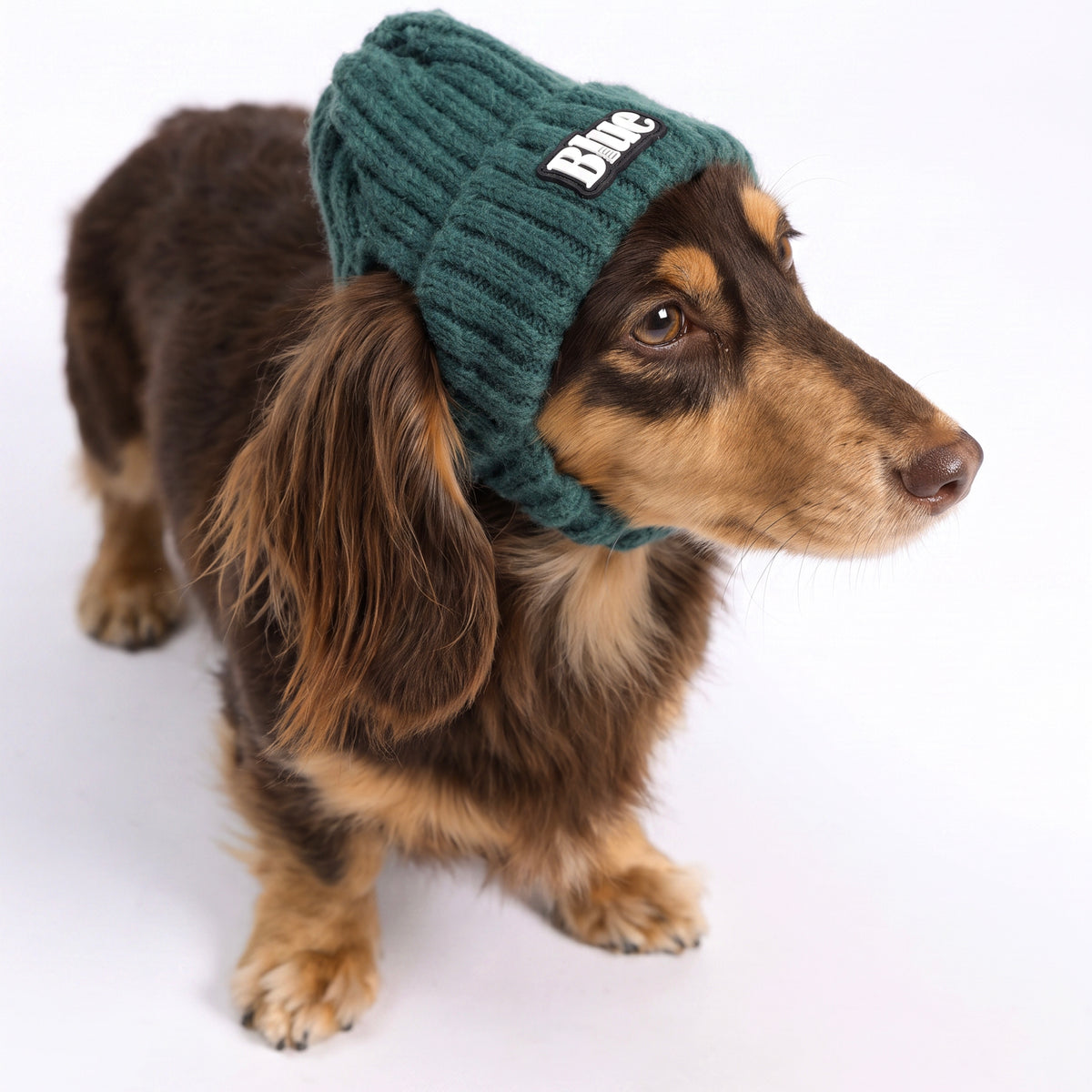 Strickmütze für Haustiere, warme Wintermütze mit Ohrlöchern für Hunde und Katzen, modische Herbst-Winter Kopfbedeckung