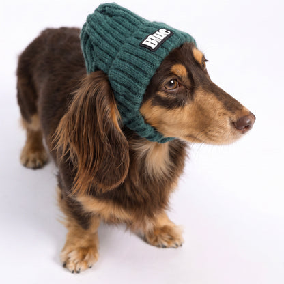Strickmütze für Haustiere, warme Wintermütze mit Ohrlöchern für Hunde und Katzen, modische Herbst-Winter Kopfbedeckung