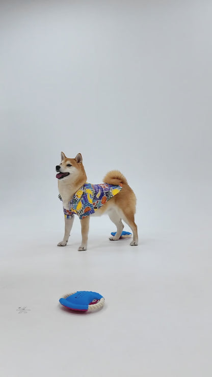 Pfeifendes Seil Hundefrisbee Spielzeug, Interaktives Leckerli Versteck Zugspiel, Robustes Apportier Kauspielzeug für draußen